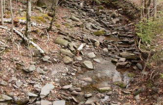 1894 Catskills Farmhouse Retreat - Foto 30