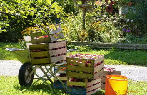 Hiemer 2 Comfortable holiday residence - Foto 20