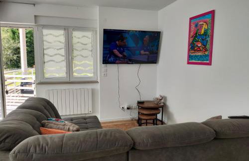 bel appartement 3 pièces dans la Résidence Vosges-Alsace Orbey - Foto 25