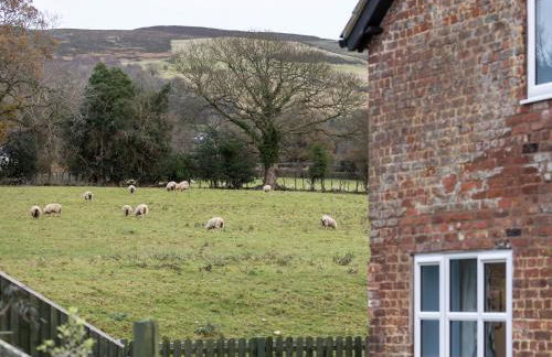 Caer Fedwen Barns Clwyd Cottage Two Bed, Barn Conversion with Private Hot Tub - Foto 22