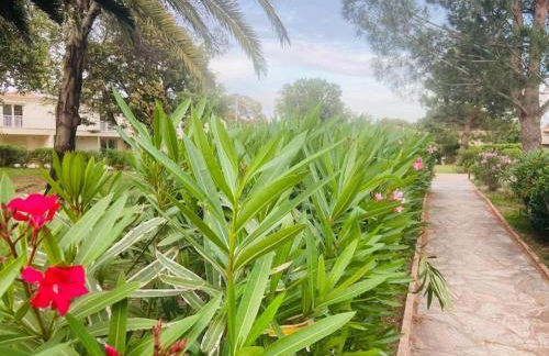 T4 neuf Porto Vecchio Calarossa - Foto 19