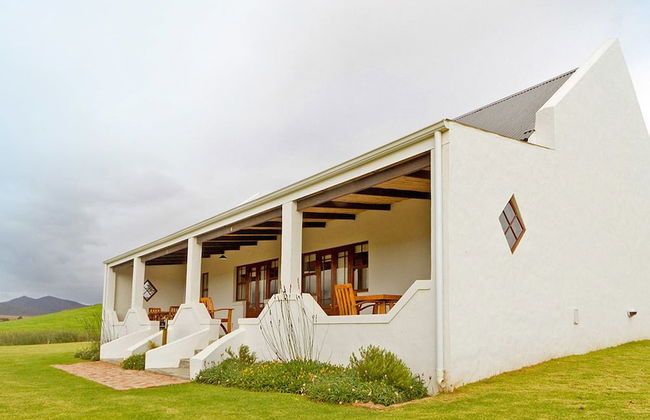 Endless Vineyards at Wildekrans Wine Estate - Photo 36