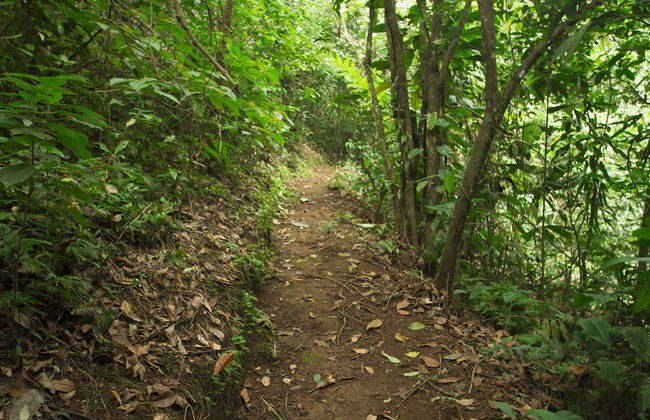 Villas Josipek - Foto 72