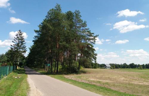 Siedlisko Nasza Chata - Foto 30