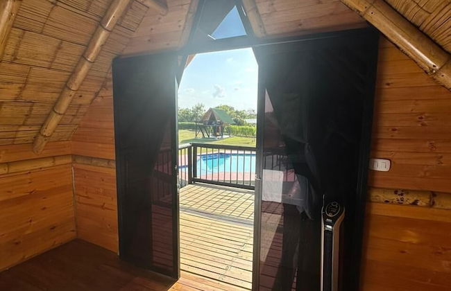 Ecohotel el Obelisco - Foto 8