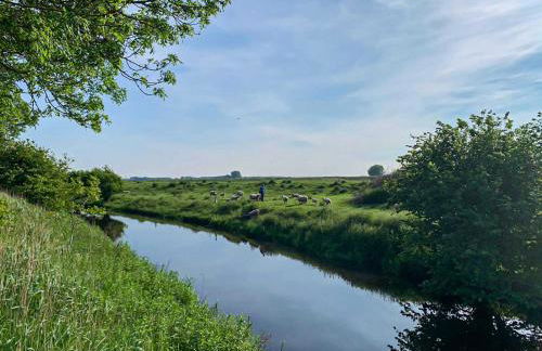 Polderhaus Deichblick direkt am Dullart - Foto 31
