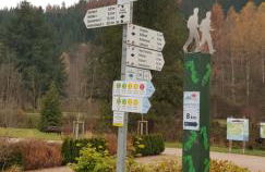 Ferienwohnung Tannenballett im Schwarzwald - Foto 47