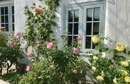 Tudor Rose Cottage - Foto 33