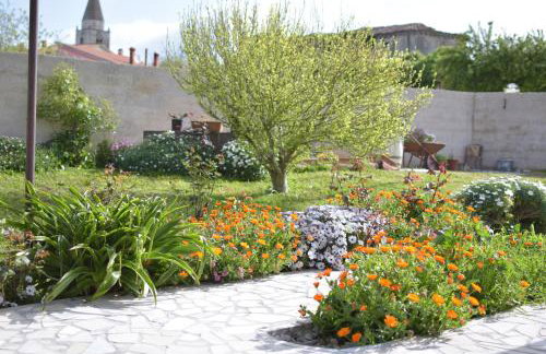 Apartment Ivy - Foto 34