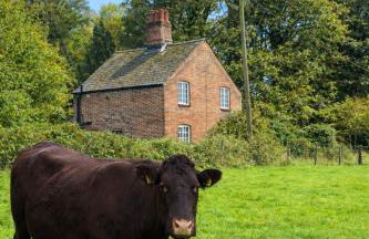 Chalk Pit Cottage - Foto 23