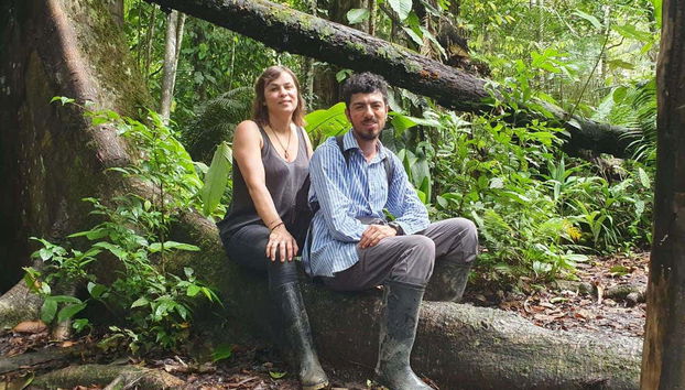 Descansando na selva amazônica