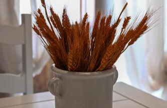 Trullo Susumaniello-Trulli Anti Charme & Relax - Foto 1