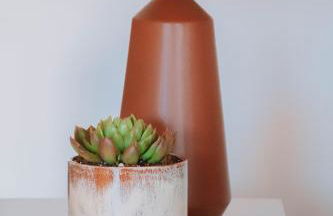 Just Like Home - Moledo Slow Living - Foto 9