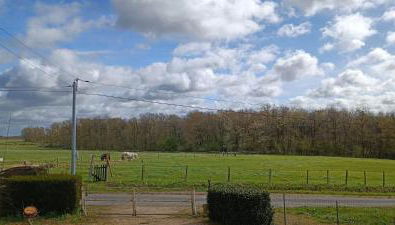 Pleine nature, 10 min zoo Beauval Mareuil sur cher - Photo 5