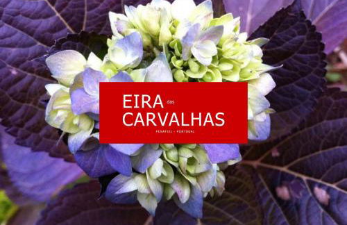 Eira das Carvalhas - Foto 17