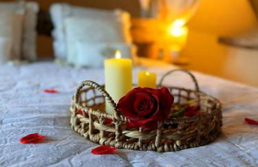 Duplex Safari jusqu'à 4 personnes, Spa, cinéma et lit sous les arbres, day use, 10 min centre - Foto 28