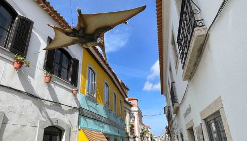 Casa da Heidi - Photo 4