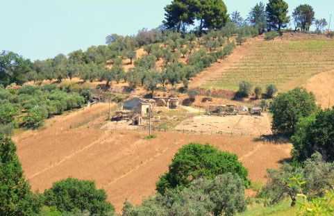 Terra di Ea - Foto 62