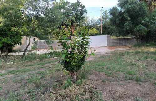 location saisonnière curiste - Foto 25