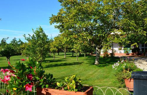 Villa Irene Pisticci-Matera - Photo 9