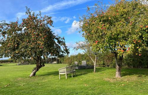 Bluebell Farm - Foto 14