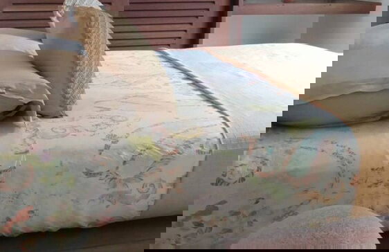 Villa Joyosa- Las Terrenas Beachfront Villa - Foto 6