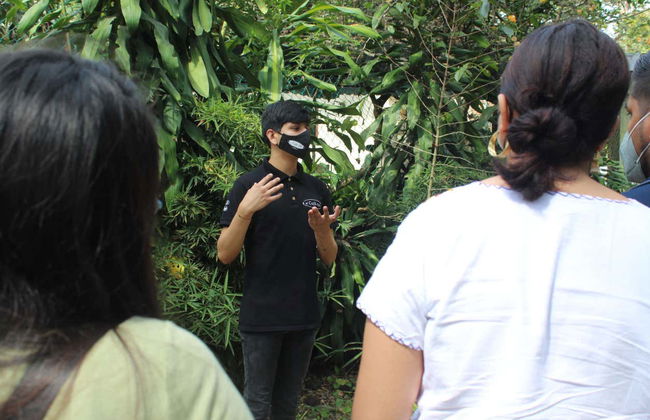 Xalapa, Xico & Coatepec Tour - Foto 8