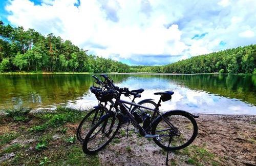 Przystań Natura - Foto 64