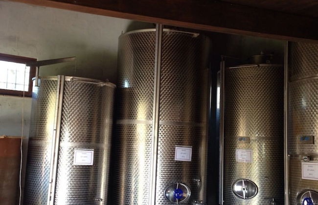 Azienda Agricola Sinisi - Foto 11