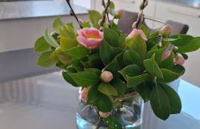 Ferienhaus Scheming - Foto 35