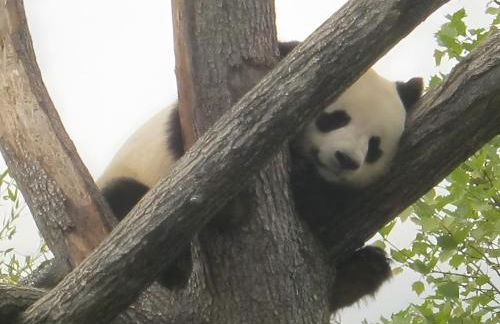 Le Four À Pain Du Moulin Lasnier - Foto 16