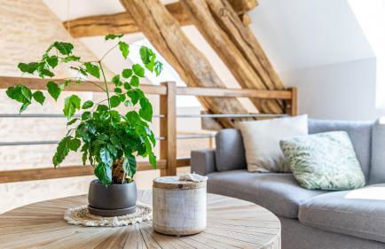 L'Écrin d'Ernest - Maison avec Charme- Extérieur - Foto 35