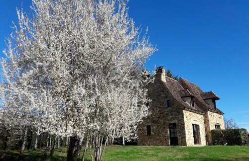 Les Granges Hautes, maisons de vacances, proches de Sarlat avec piscine, parc, - Foto 30