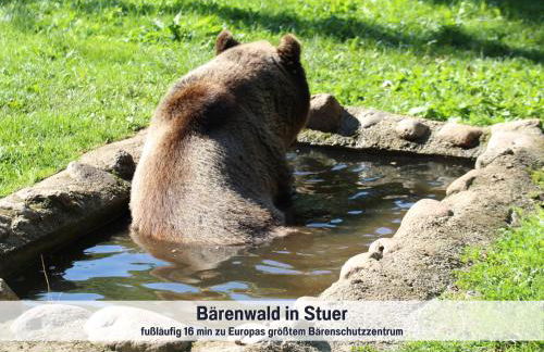 Wohlfühlparadies Max, Stuer - Strandnah am Plauer See mit Wlan und Parkplatz - Foto 33