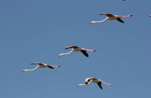 Villa Demì - Foto 30