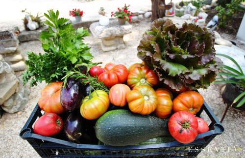 Agriturismo Essentia dimora rurale - Foto 53