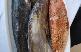 Appartement Vila Fajen - Foto 43