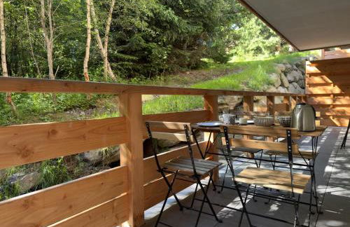 Le lodge de l alpage - Ski in ski out - 2 chambres 1 cabine - Foto 23