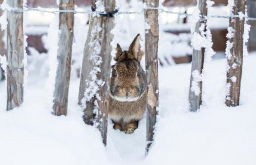 Pichlerhof - Foto 32