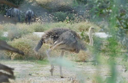 La Maison CANTHEZ Wifi - Foto 50