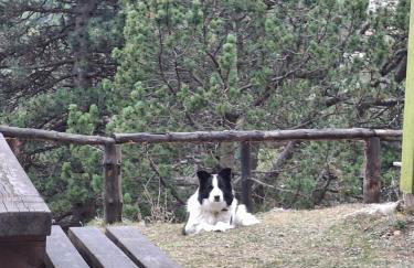 Bungalow en parc natural del Ter 2000 metres - Foto 7