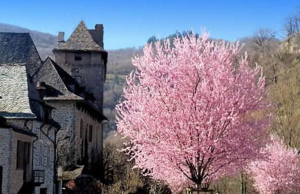 L'Oustalou - Gîte entre Lot et Truyère - Photo 13