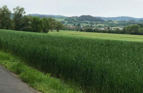 Holiday apartment with 2 bedrooms - Foto 7