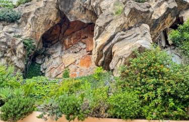 Green Heaven Apt, Rickeys - Foto 22