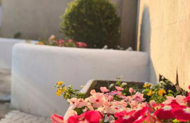 La via del mare - Foto 118