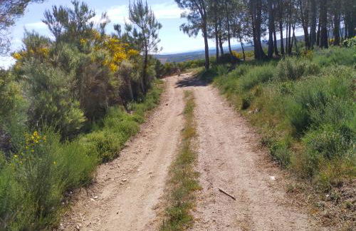 Starbase18 lda Ecotourism - Foto 57