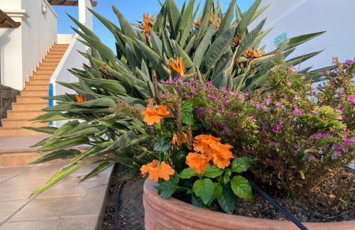 "Our Soleada" Villa cosy and flowery, heated pool - Foto 38
