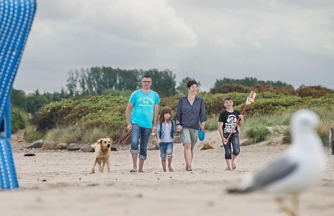 Reihenhaus im Ostseeresort Dampland - Photo 24