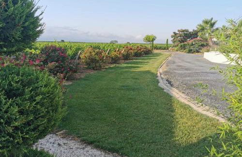 Villa contemporaine avec piscine à débordement dans un domaine viticole - Foto 28