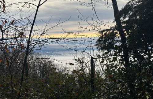 Le petit nid de Turckheim avec parking privé - Foto 12